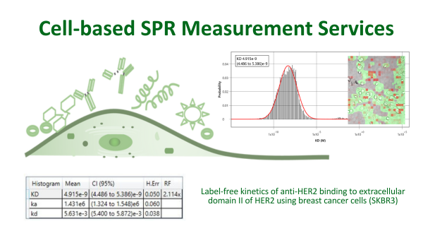 BiosensingInstrument (@biosensingins) on Twitter photo We are having a limited promotion for FREE consumables for new #SPRm Measurement Services customers.
Learn more: biosensingusa.com/news/measureme…
or email us at: info2bi@biosensinginstrument.com for more info We are having a limited promotion for FREE consumables for new #SPRm Measurement Services customers.
Learn more: biosensingusa.com/news/measureme…
or email us at: info2bi@biosensinginstrument.com for more info
