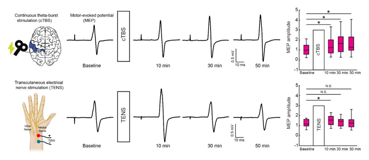 JNeurophysiol's tweet image. It&apos;s all about #motorcontrol in this @knsmtamu duo&apos;s #ArticleinPress, Modulating Motor Cortex Plasticity via Cortical and Peripheral Somatosensory Stimulation (S. Bao and Y. Lei):

ow.ly/yYOQ50VUWfz