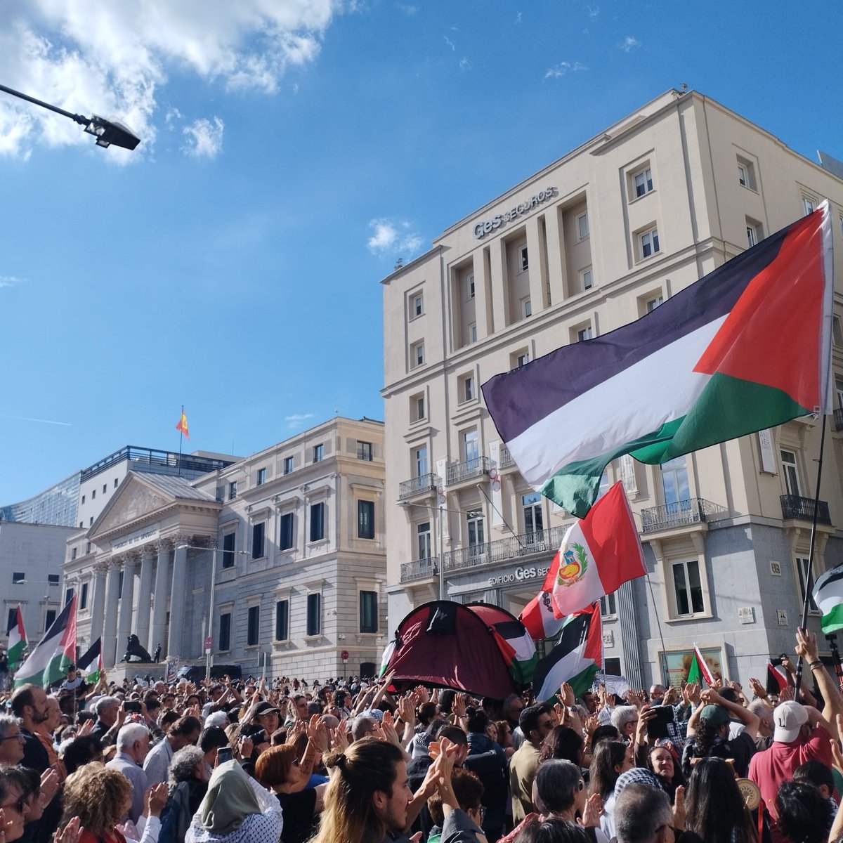 Rosa M. Tristán tweet media