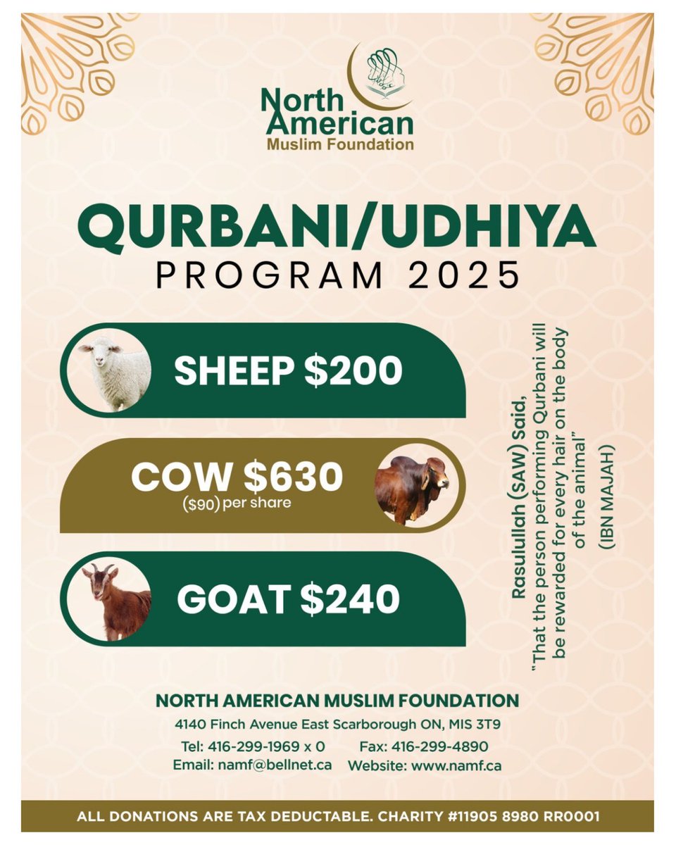 namf786's tweet photo. Qurbani 2025 https://t.co/TZFavqPGCh