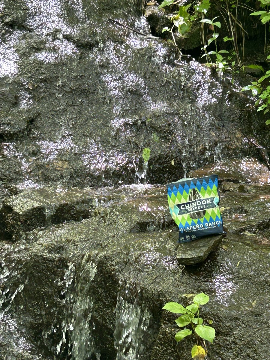 Just got off the #AppalachianTrail with my favorite hiking buddy, <a href="/ChinookSeedery/">Chinook Seedery Sunflower Seeds</a> seeds!