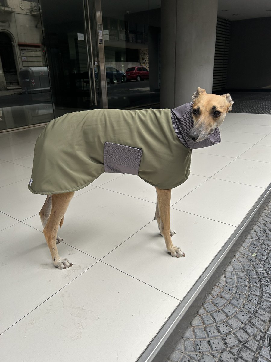 vickyordoqui's tweet photo. @psbhf Acá La Piola con algunos outfit https://t.co/aTGCSAfDLy