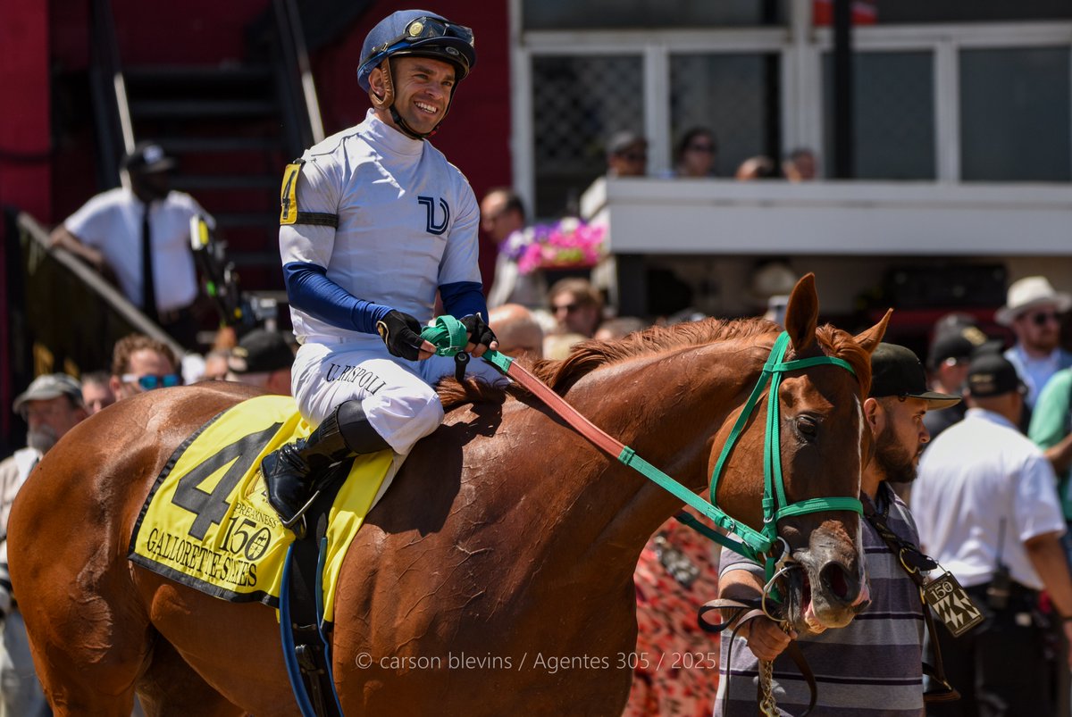 Agentes305 (@agentes305) on Twitter photo CHARLENE'S DREAM (4yoF - Qurbaan)
Winner: G3 GALLORETTE Stakes - May 17th <a href="/PimlicoRC/">Pimlico</a>
J: <a href="/umbyrispoli/">Umberto Rispoli</a> (1st victory at Pimlico in his 1st mount)
T: <a href="/edmoger/">Ed</a> Jr
O: Domeyko Taylor
Photos: <a href="/roguewolf007/">Carson Blevins</a> Agentes 305 CHARLENE'S DREAM (4yoF - Qurbaan)
Winner: G3 GALLORETTE Stakes - May 17th <a href="/PimlicoRC/">Pimlico</a>
J: <a href="/umbyrispoli/">Umberto Rispoli</a> (1st victory at Pimlico in his 1st mount)
T: <a href="/edmoger/">Ed</a> Jr
O: Domeyko Taylor
Photos: <a href="/roguewolf007/">Carson Blevins</a> Agentes 305