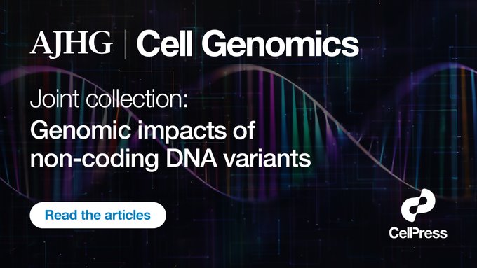 AJHG (@ajhgnews) on Twitter photo Check out our latest collection w/<a href="/CellGenomics/">Cell Genomics</a> which highlights recent papers that explore the many ways in which the effects of non-coding genetic variation can impact individuals hubs.li/Q03njdcr0 Check out our latest collection w/<a href="/CellGenomics/">Cell Genomics</a> which highlights recent papers that explore the many ways in which the effects of non-coding genetic variation can impact individuals hubs.li/Q03njdcr0
