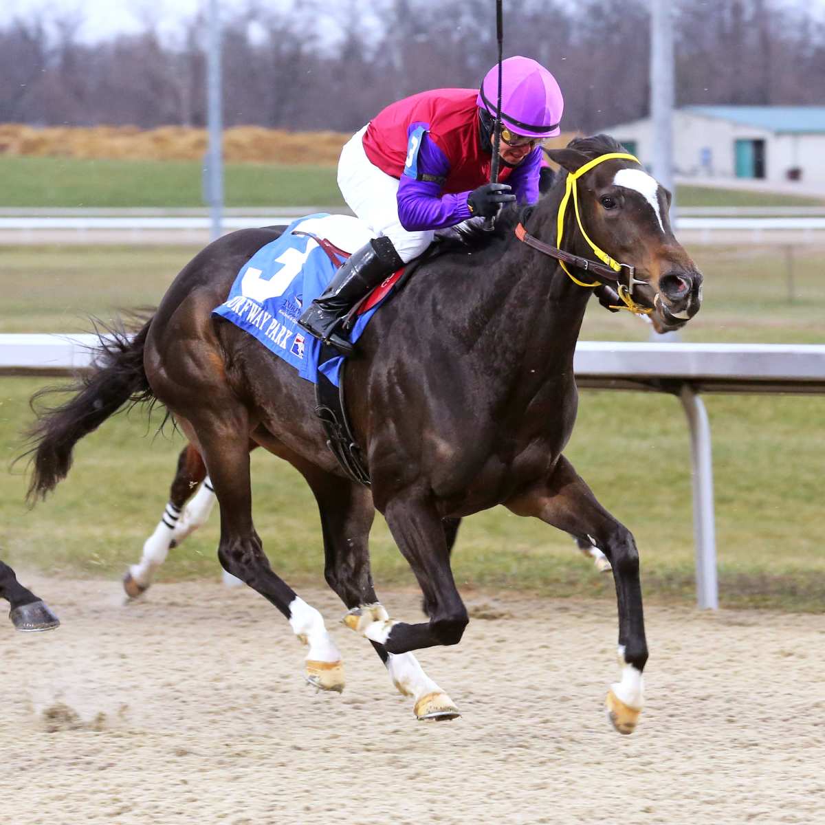 Equibase's tweet image. In his final win as a trainer, Larry Demeritte went out on a high note, winning the Gowell Stakes on New Years Day at @TurfwayPark by 3/4 of a length with Grace On Grace! 

A final triumph for a beloved horseman who inspired so many. 🕊️❤️

Photo Credit: Coady Media