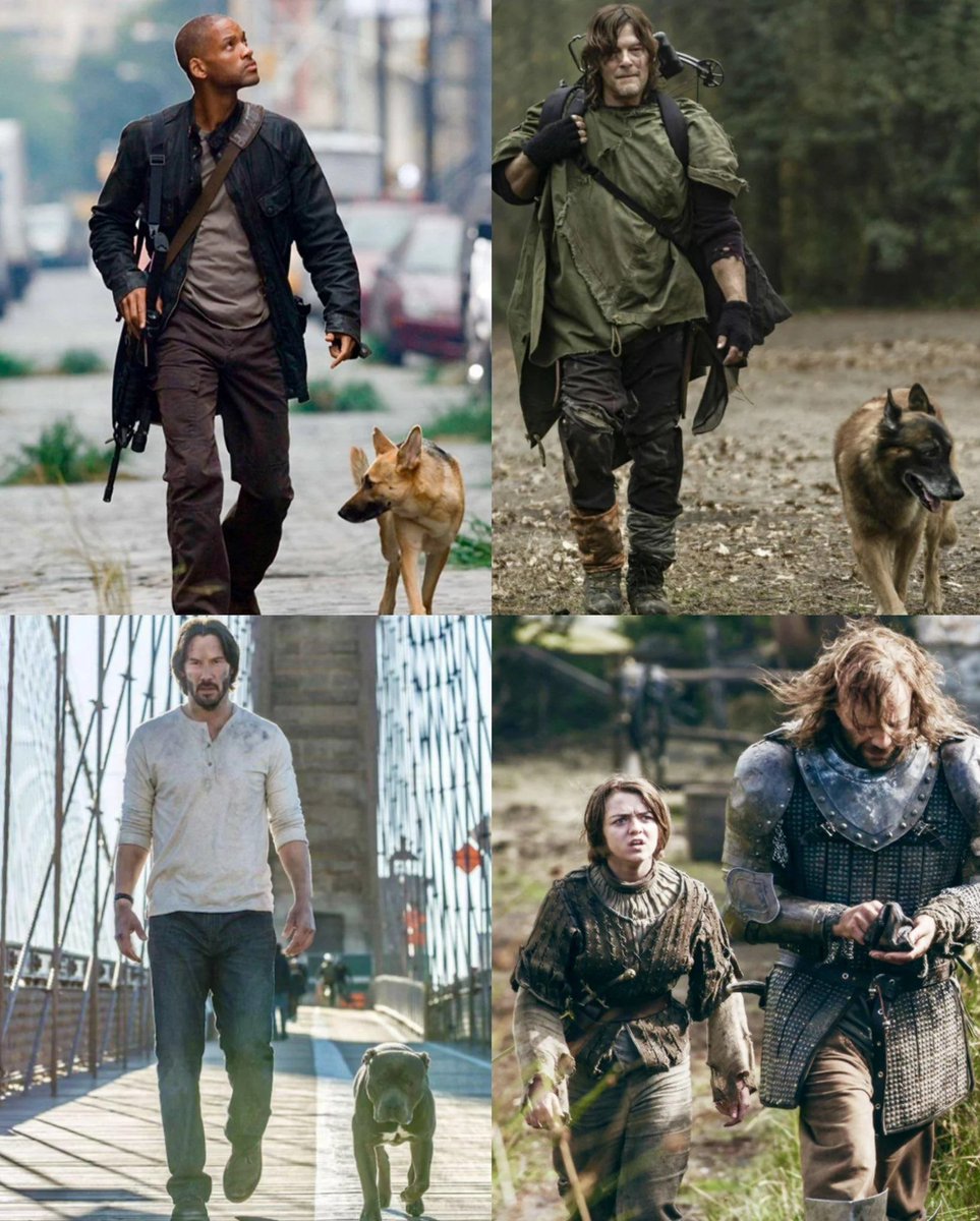 The most loyal friend is a dog