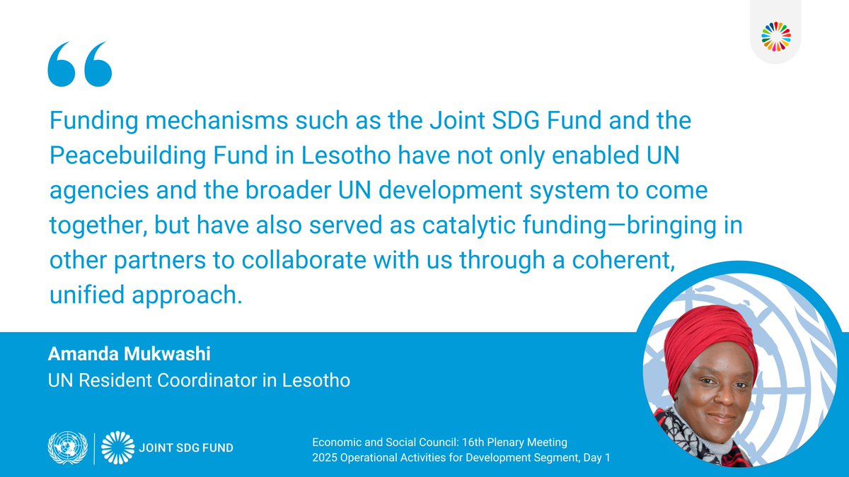 Joint SDG Fund 🇺🇳 tweet media
