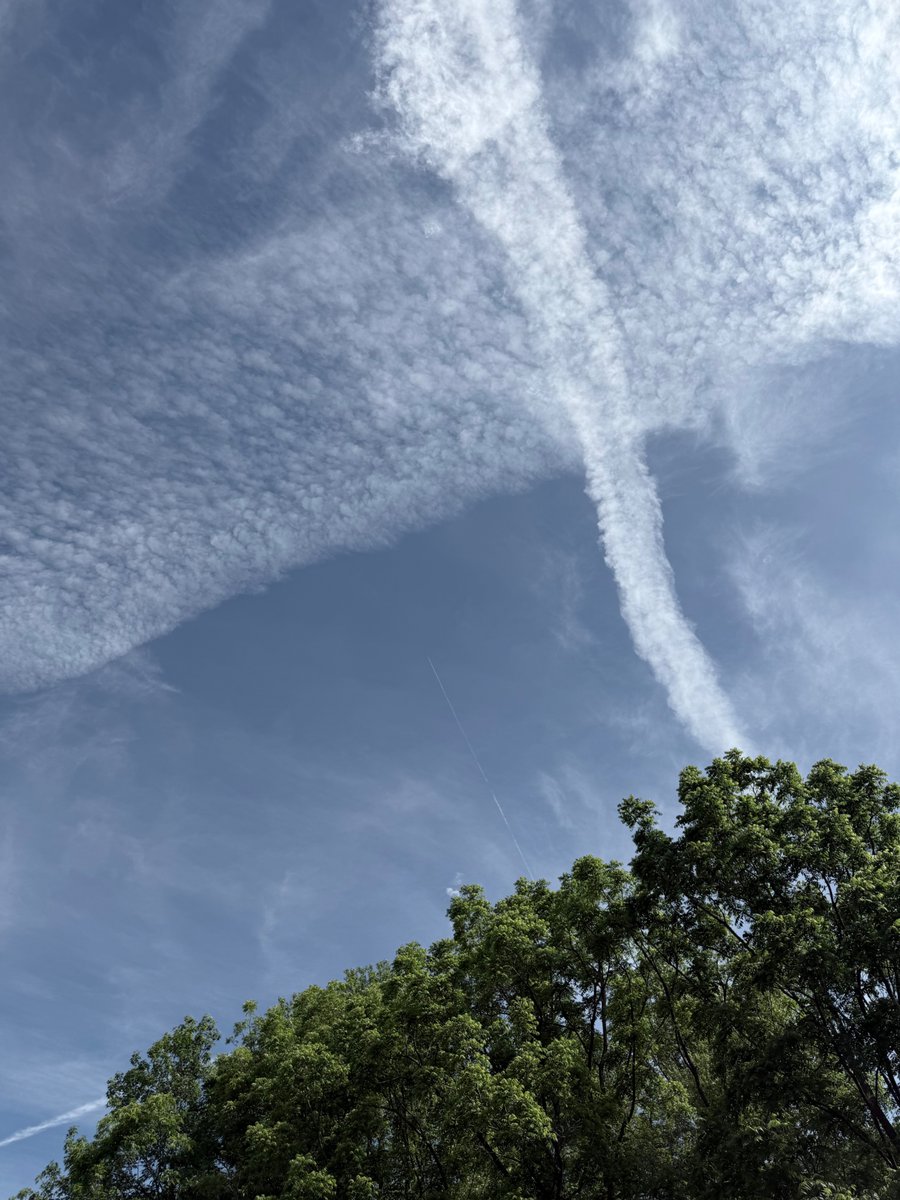 Chicago20103wk's tweet photo. @ksorbs NO I trust only Jesus Christ and God. They are spraying us everyday with poison from our skies and then criticize UK and other countries for doing it and blocking sun. All governments are doing this and @FBIDirectorKash @FBIDDBongino @SecKennedy @POTUS @PeteHegseth NO TRUST https://t.co/d557yagKLq