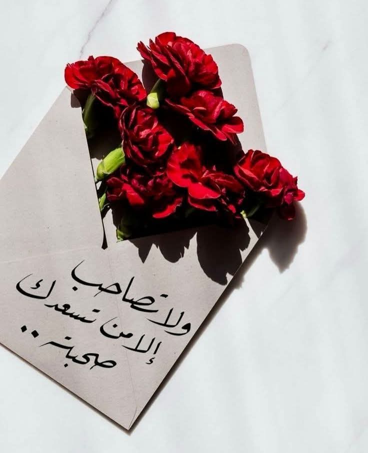 ‏حـޢـكـޢـيـޢـمـ tweet media