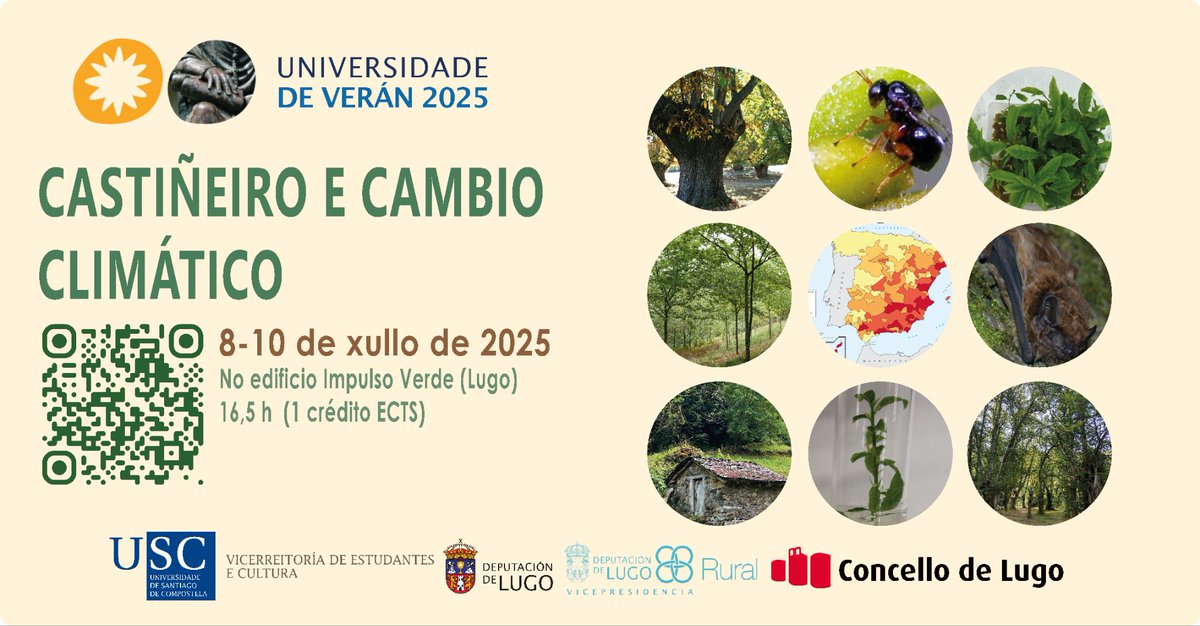 Aninja_'s tweet photo. Aínda sen plan para o verán?☀️🏖️

Inscríbete xa no noso curso "Castiñeiro e Cambio Climático"🌳🌍 

📅 8, 9 e 10 de xullo

🕕 16,5 horas

📍 Edificio Impulso Verde, Lugo

🎓 1 crédito ECTS

@UniversidadeUSC
Colaboran: @depulugo @concellodelugo @vicedepulugo @LifeLugoBio https://t.co/vggnXTJp9A