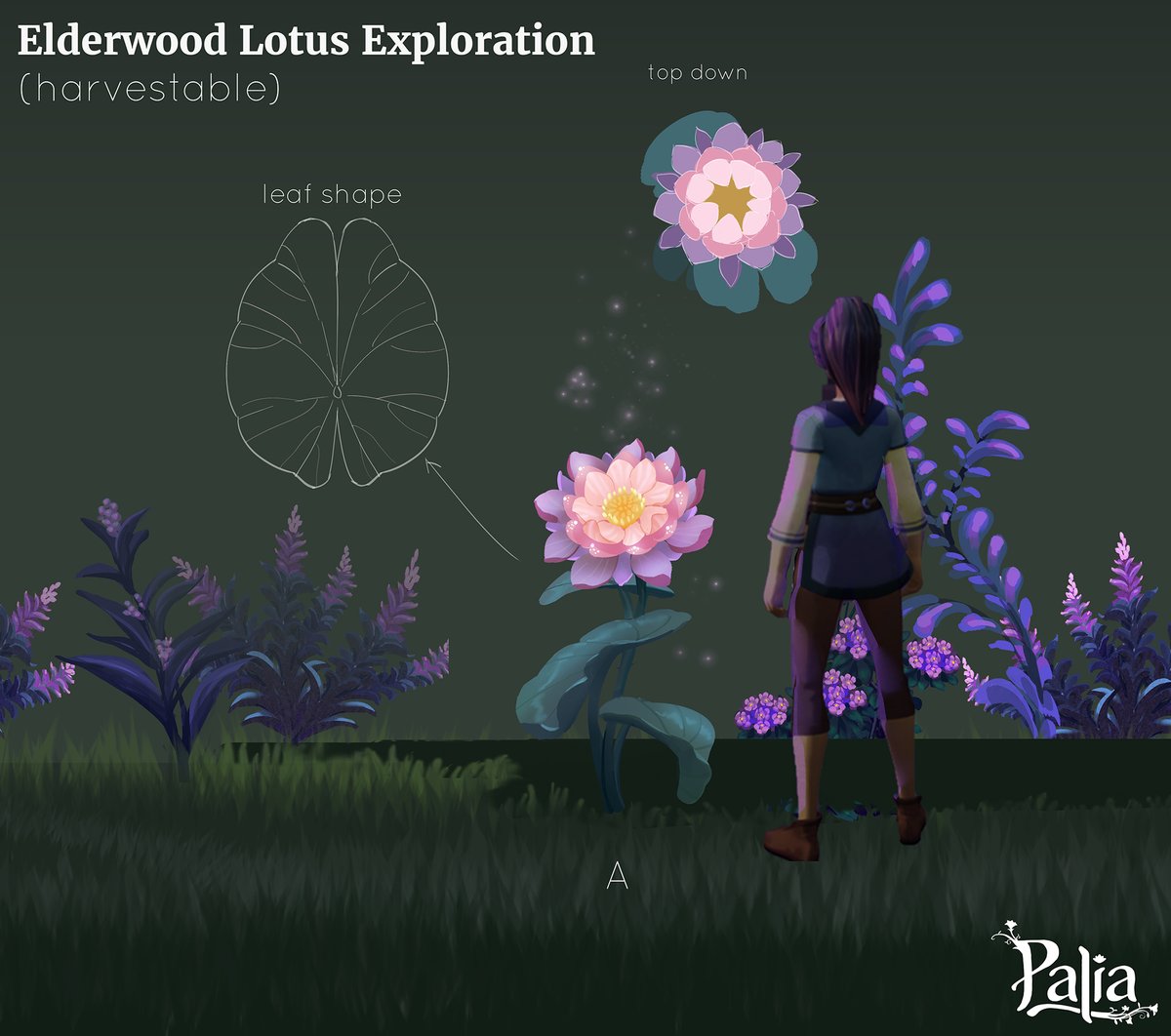 more flowers for Elderwood of <a href="/playPalia/">Palia</a> 
as a gardener I had so much fun working on those flowers! #elderwood #palia #elderflower #elderwoodlotus