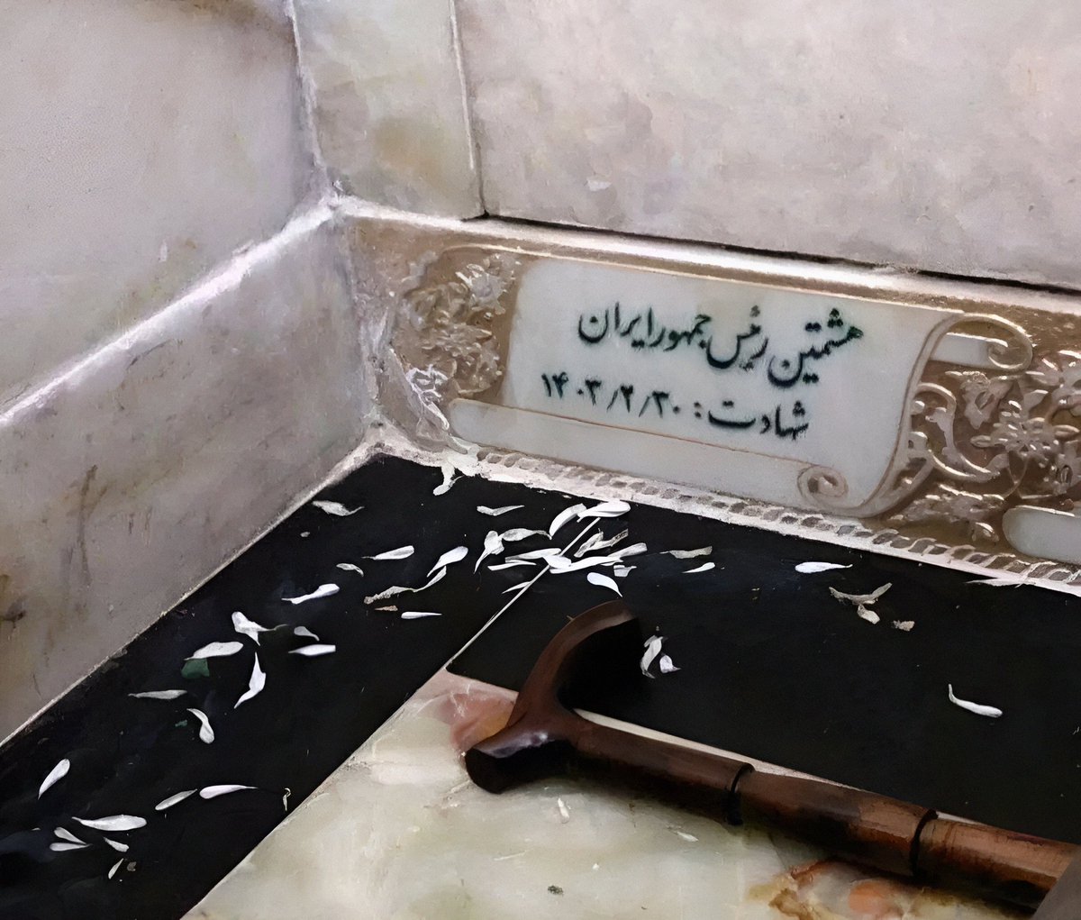 یه روز میام سر قبرت و یه دل سیر رو سنگ قبرت می‌شاشم جاکش...