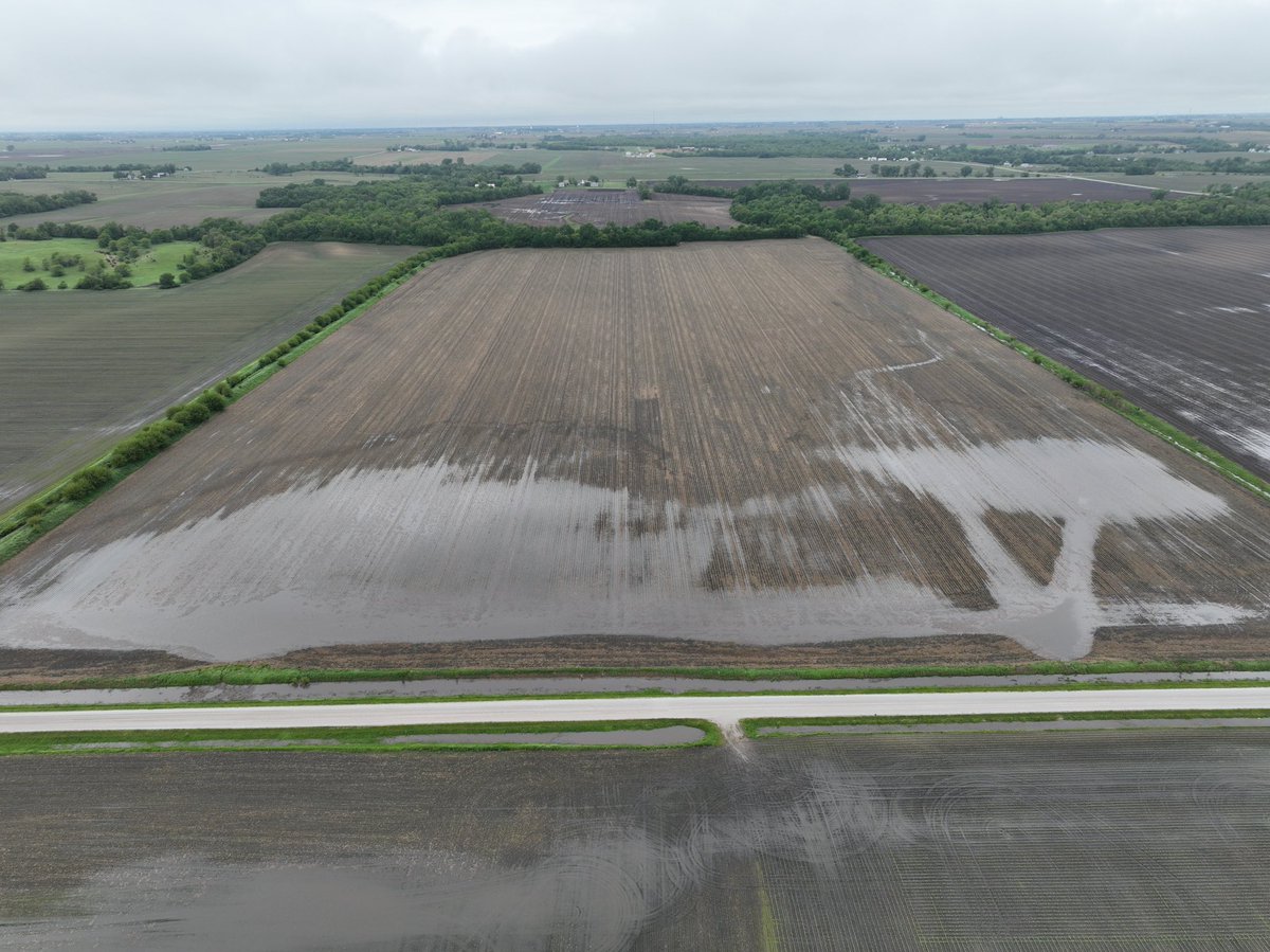 Corey Hillebo tweet media