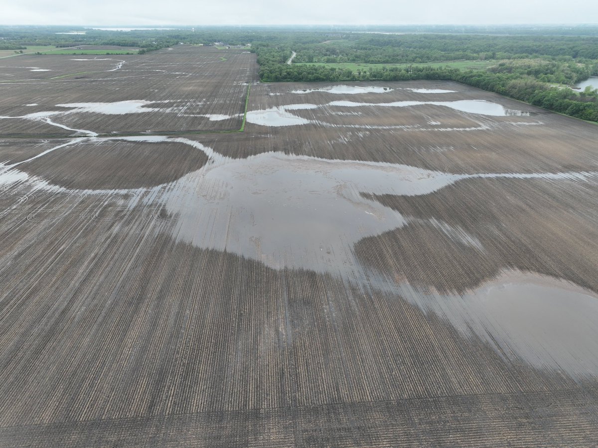 Corey Hillebo tweet media