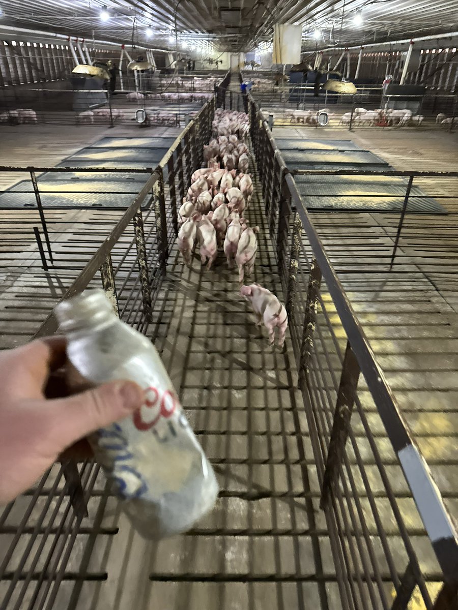 Corey Hillebo tweet media