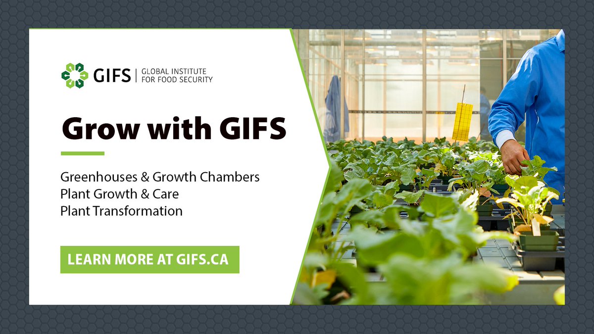 GIFS' Plant Growth Facilities and services are supported by highly qualified personnel, including an in-house plant pathologist.

Learn more at gifs.ca/pgf and on the <a href="/InnovationCA/">CFI / FCI</a> Research Facilities Navigator ⬇️.  
 
ow.ly/RGFm50VVQSU

#USaskResearch