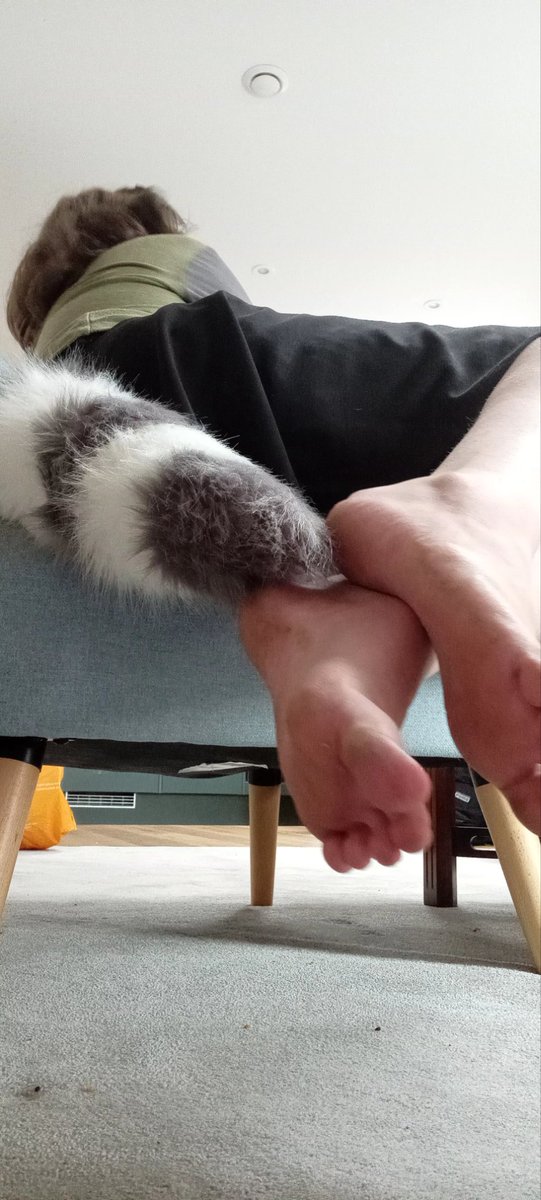 JaydenMcCa24869's tweet photo. Happy Pawday. Here's some raccoon feet for ya #pawday #raccoonfeet #tgirlfeet #nonbinaryfeet https://t.co/gt3uyfusDj