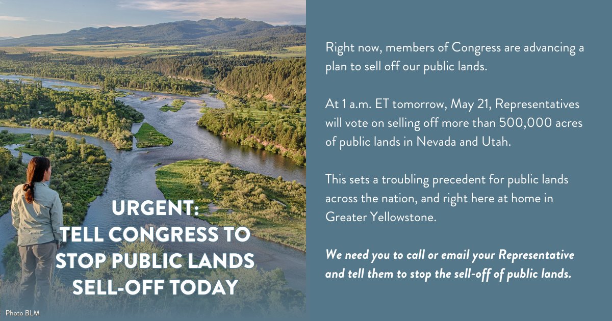 URGENT ACTION NEEDED! Right now, members of Congress are advancing a plan to sell off our public lands.

We need you to call or email your Representatives TODAY and tell them to stop the sell-off of public lands. Take action at greateryellowstone.org/take-action/st…