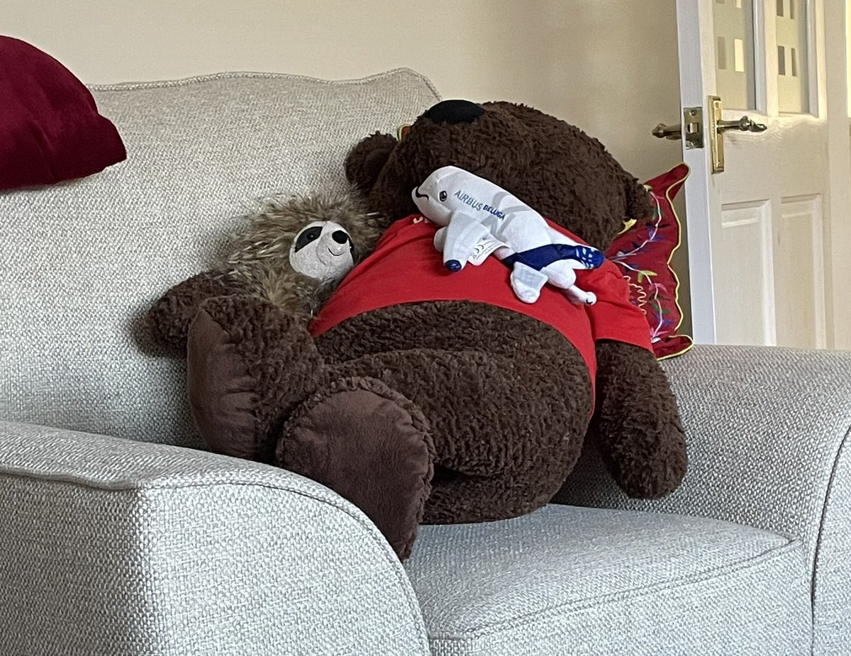 Well, since the Hoom thanked me very much for ‘budging my arse’ to the chair I supposes I will not argue much… this time 😉🤭 #InvertebrateMe