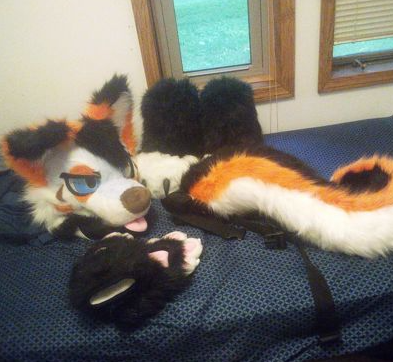 S3by 🐾🍔 tweet media