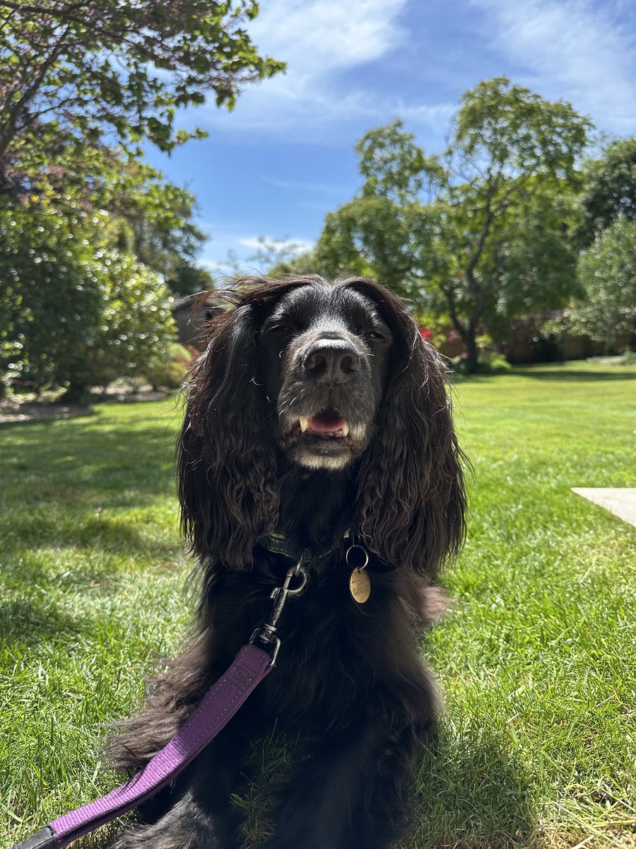 I’ll have a bit of that ham sandwich if you’re struggling 😉😋