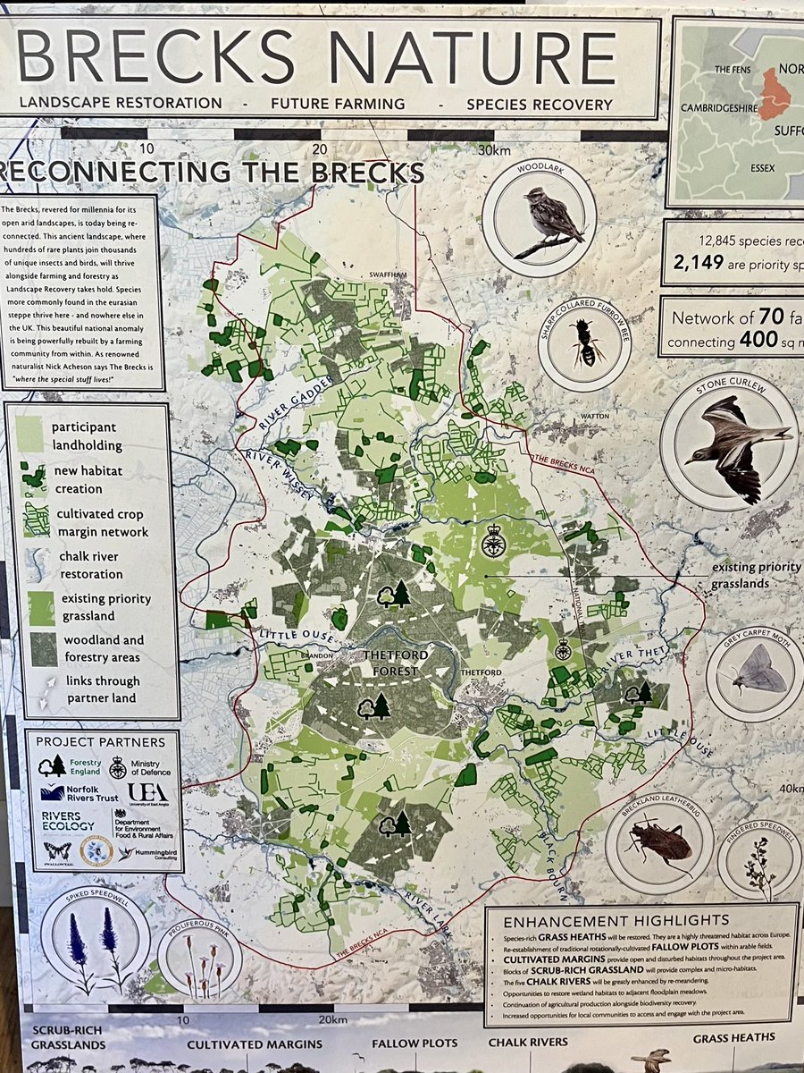 Breckland Landscape Recovery getting it ‘just right’. Ambitious, but achievable. Complex enough to hit objectives for nature, but straightforward enough to actually be delivered. Enthusiastic, but realistic leadership. It’s conservation Baby Bear’s porridge. Well done them 👏👏