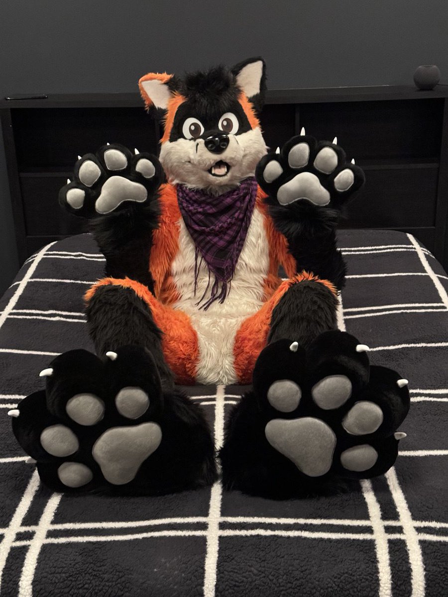 Happy #PawDay !  🐾

📸: <a href="/AviFox/">Avi Fox🍊🦊</a>