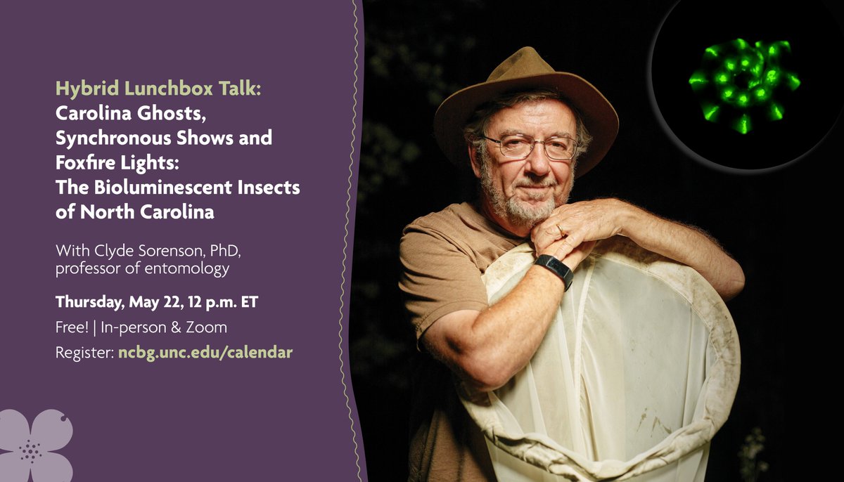 NC Botanical Garden (@ncbotgarden) on Twitter photo Have you seen your first firefly of the season yet? This Thursday at noon, we'll be joined by <a href="/NCSU_DEPP/">NCSU Entomology & Plant Pathology</a> professor Clyde Sorenson for a Hybrid Lunchbox Talk exploring fireflies and other bioluminescent insects of NC.
Free! In-person and Zoom. Register: reg.learningstream.com/reg/event_page⦠Have you seen your first firefly of the season yet? This Thursday at noon, we'll be joined by <a href="/NCSU_DEPP/">NCSU Entomology & Plant Pathology</a> professor Clyde Sorenson for a Hybrid Lunchbox Talk exploring fireflies and other bioluminescent insects of NC.
Free! In-person and Zoom. Register: reg.learningstream.com/reg/event_pageā¦