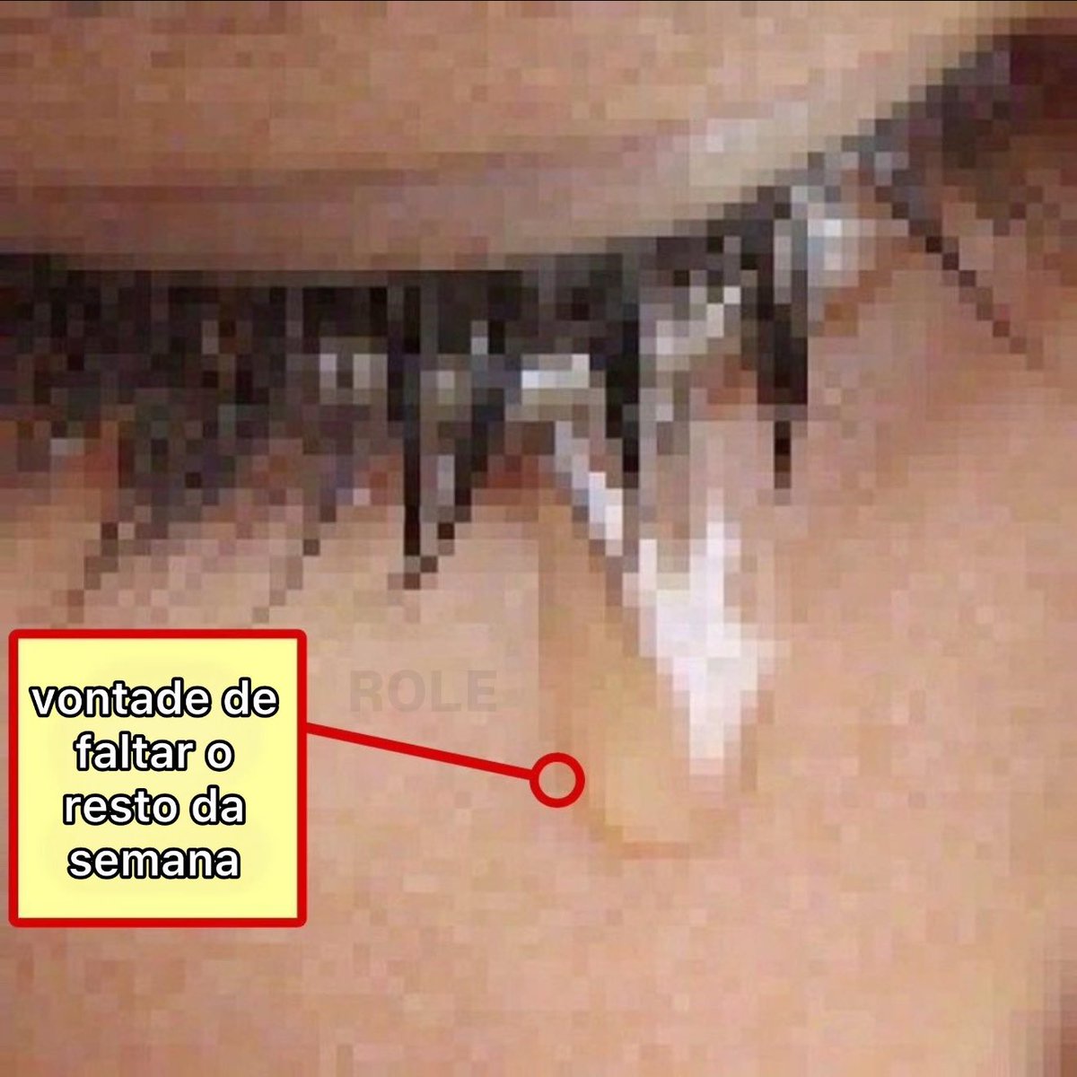 Rolê Aleatório (@rolealeatorio) on Twitter photo 