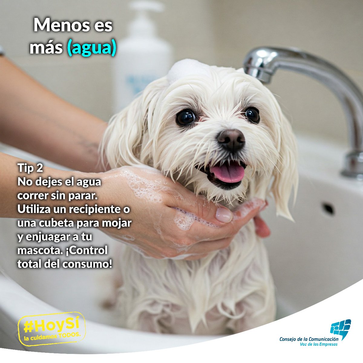 Hoy Sí Mx tweet media