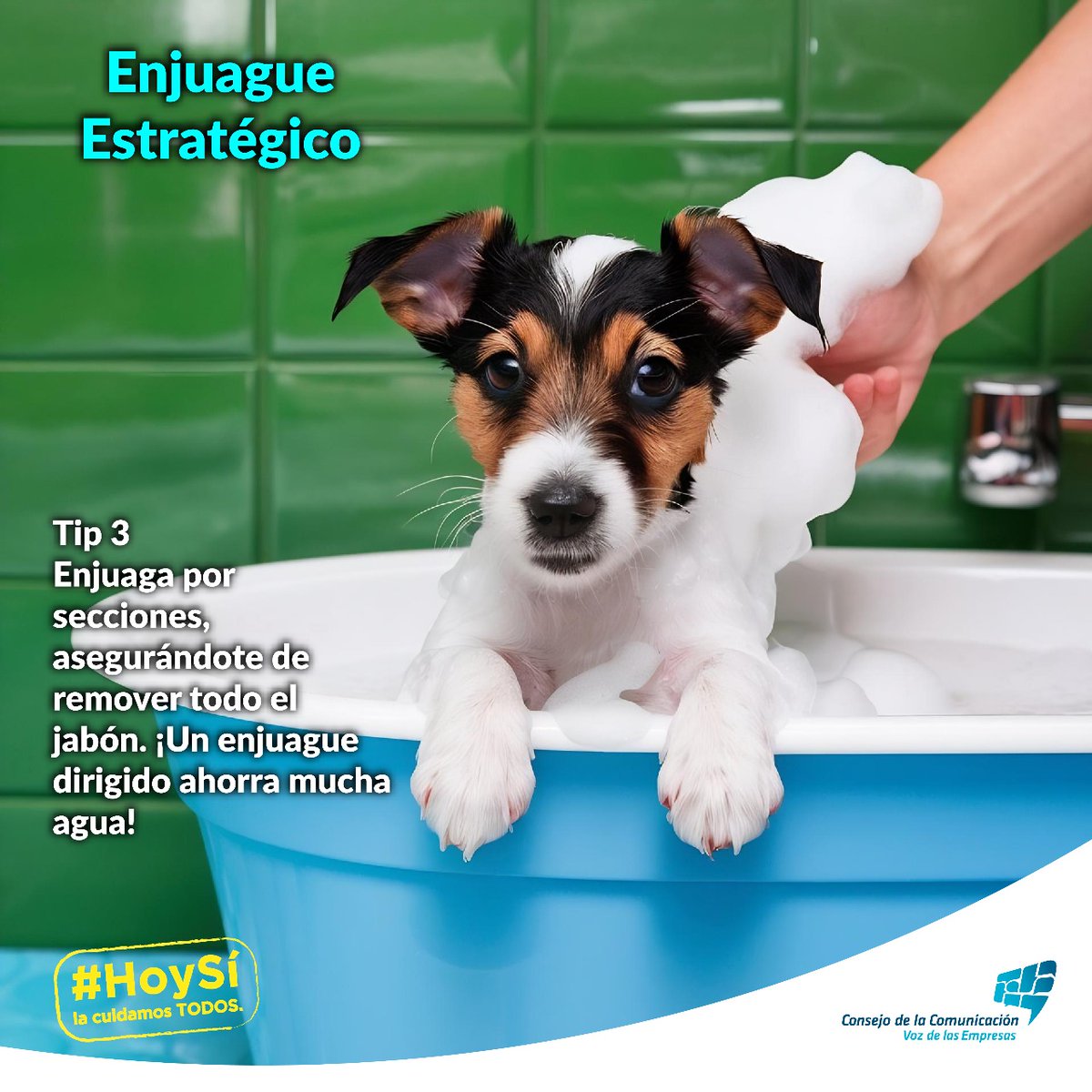 Hoy Sí Mx tweet media