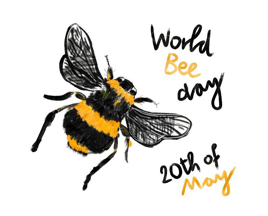 Happy World Bee Day! 🐝 🥳 Today, I’m buzzing with gratitude for these incredible creatures! They’re not just cute; they’re essential for our planet. Let’s celebrate and recognize the vital role bees play in our lives and ecosystems.

Did you know there are over 20,000 species of