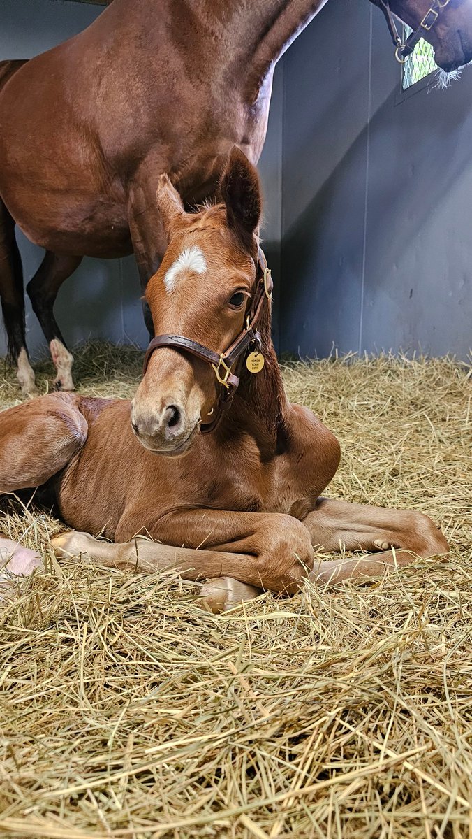 Endeavor Farm KY tweet media