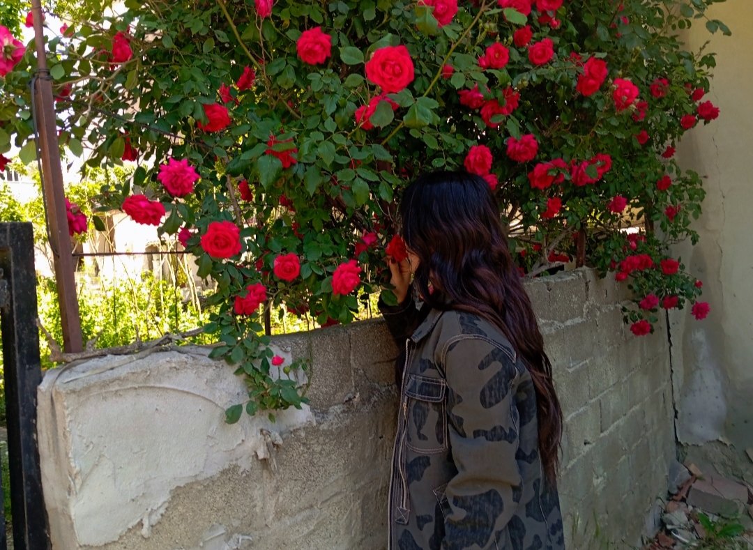 #🌹 #doğaileiçiçe #♥️