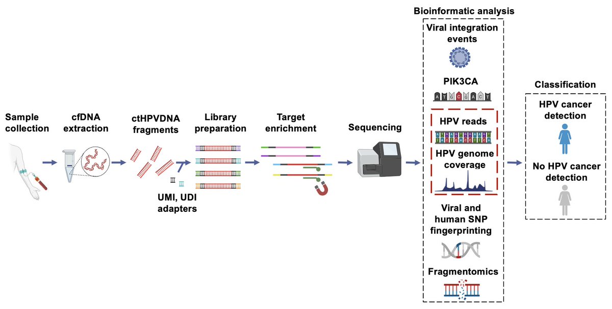 Our simultaneously published manuscripts describing two custom whole genome sequencing liquid biopsy approaches are now available to read online in <a href="/CCR_AACR/">Clinical Cancer Research</a>

HPV-DeepSeek (HPV WGS): aacrjournals.org/clincancerres/…

MAESTRO (Human WGS): aacrjournals.org/clincancerres/…