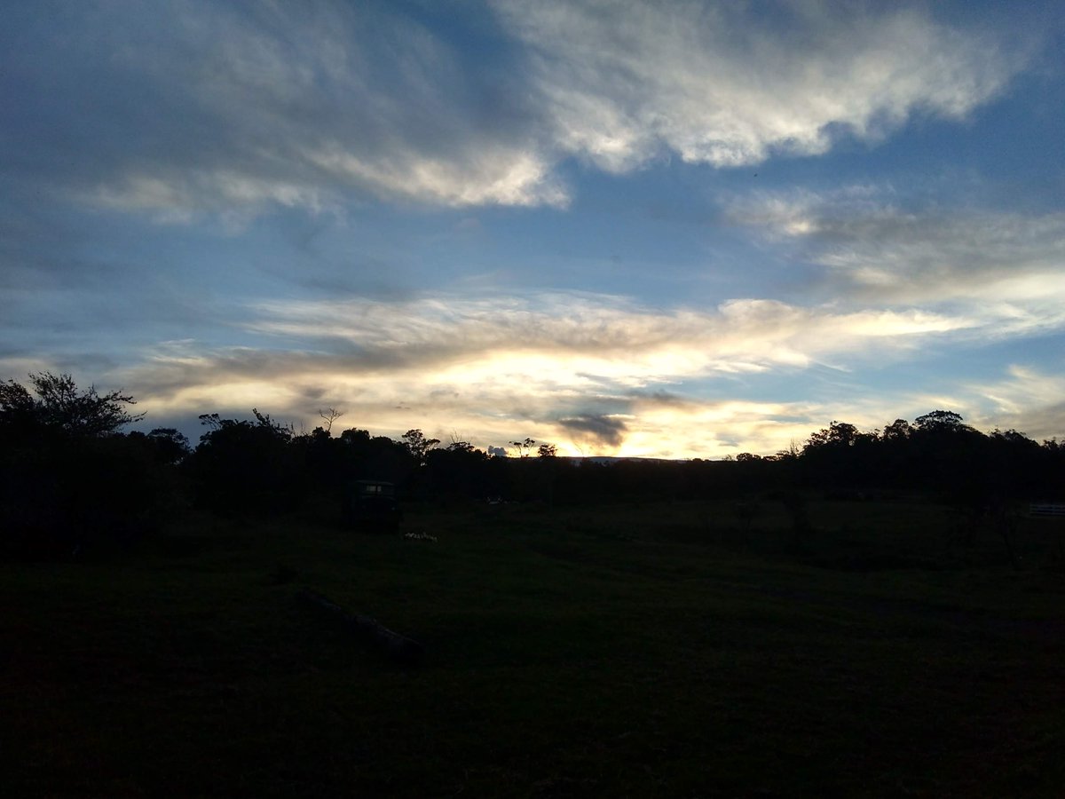 RikuMaggie @maggieriku0406 - Twitter Profile | Sotwe