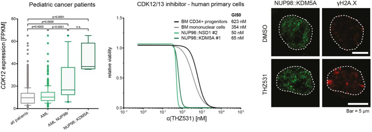 Selina Tröster tweet media