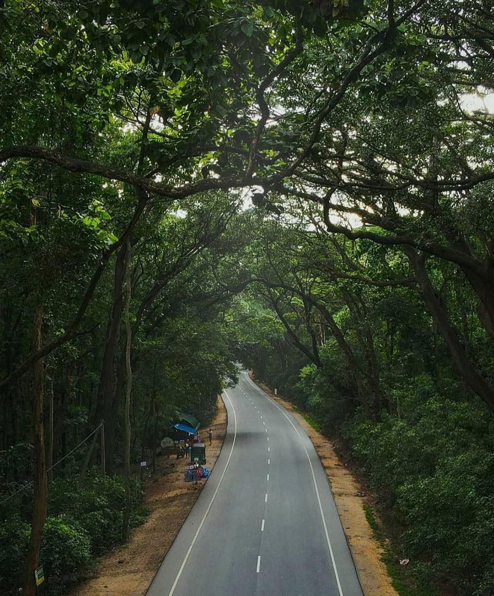 crewforshoots's tweet photo. Trusted by Top production companies around the world for Line Production in Sri Lanka/Maldives Contact: producer@crewforshoots.com visit: https://t.co/opB1ezOL6D #srilanka #filmlocations #crewforshoots #filmcrew #filminginsrilanka #shootinginsrilanka #lineproduction or simply DM https://t.co/TfxE0OxuFI