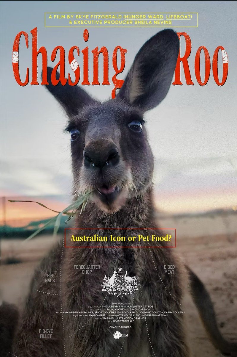 Ott House Audio tweet media