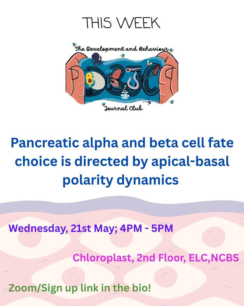 dbjc_bdbc's tweet image. Hello twitter folks!! This week in DBJC we have Palak from who will be leading the discussion on how apical-basal polarity decides whether a cell will become an alpha or a beta panceratic cell. Do join us! Sign up/Zoom link is in the bio!