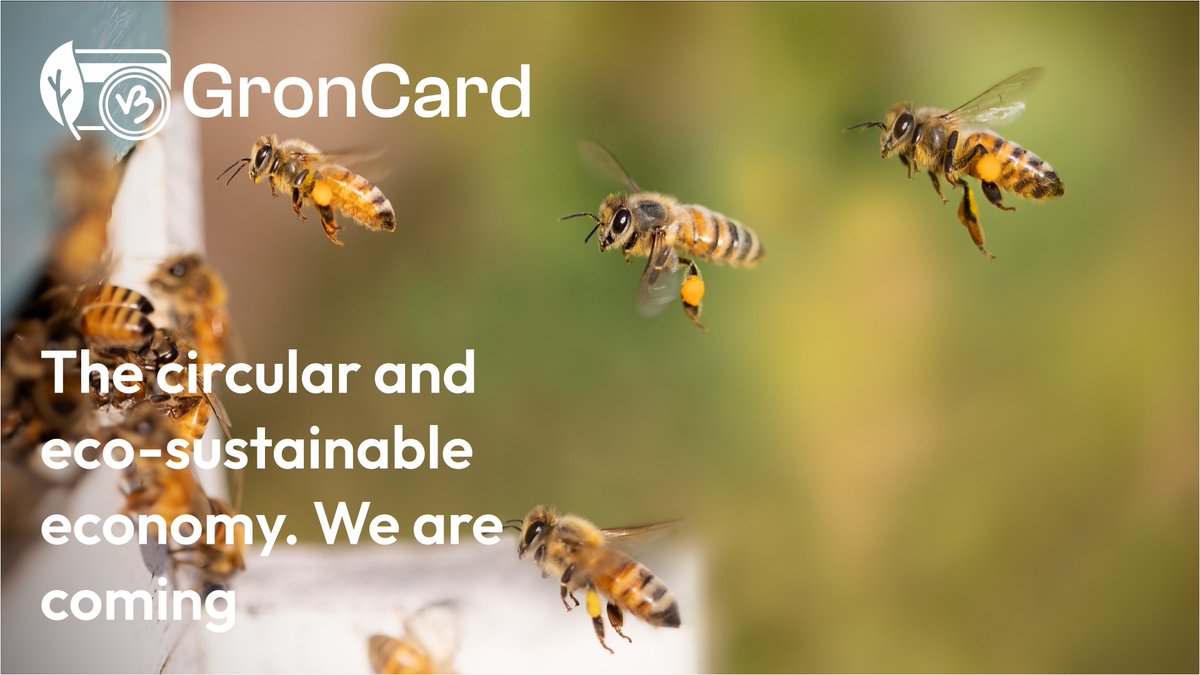 GronCardx's tweet photo. 🐝 Your actions matter! 🌍 Let's celebrate #WorldBeeDay with @GronCardx and #VeBetterDAO

Today, May 20, is World Bee Day: silent guardians of biodiversity and our future. Without them, the world would not be the same. 💔

It's the perfect time to remember how the sustainable actions you take every day have a real impact. And with #GronCard, this impact becomes a tangible value. 🌱

Every virtuous action you take earns you #B3TR, the utility token of #VeBetterDAO. 🚀 @GronCardx is the DApp that transforms your eco-sustainable choices into concrete #GiftCard rewards.
Together, VeBetterDAO and GronCard create an ecosystem in which sustainability and technology meet and give value to your actions.

🌐 The future is sustainable. https://t.co/W6WABRdUhG 
#WorldBeeDay #GronCard #VeBetterDAO #VeChain #Sustainability #Web3 #EcoFriendly #BlockchainForGood #B3TR #ActBetterLiveBetter