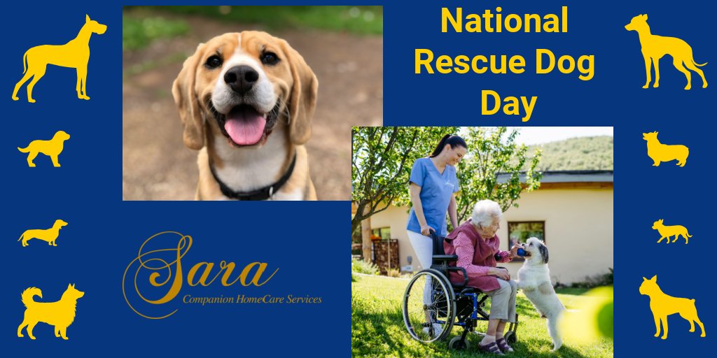 It's National Rescue Dog Day!

Time to visit your local animal shelter and get to meet four footed friends who need a safe, loving home.

Our SARA HHAs are great with both people and pets.
For information, call us at 516-837-3388