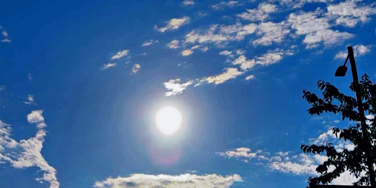 Holly Dixon tweet media