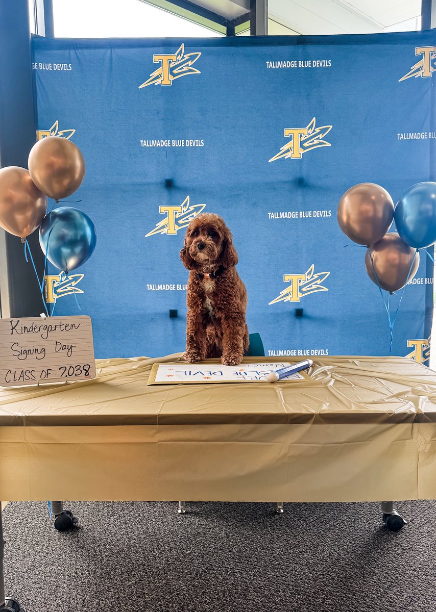 Lianna Dauberman tweet media