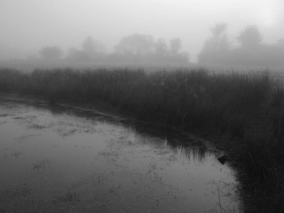 Alexander (@juststrangefeel) on Twitter photo 