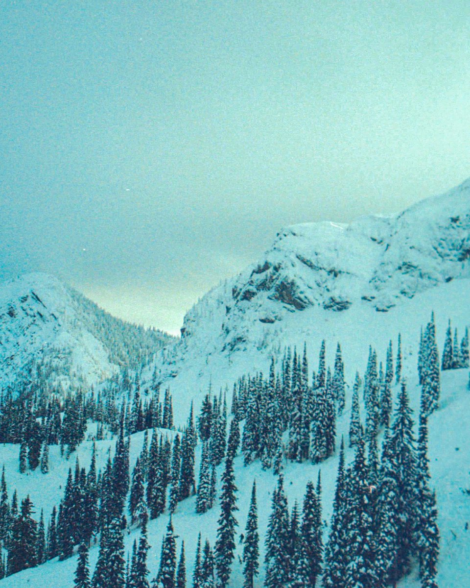nonstopsnow's tweet photo. Scenes from a past camp at @ferniealpineresot. Great memories with great people. We miss it already, but we're fired up to welcome many new and returning riders next season.⁠
⁠
Explore 25/26 Fernie camps via https://t.co/clr2dl5u4d. https://t.co/oIZ6AukwmQ