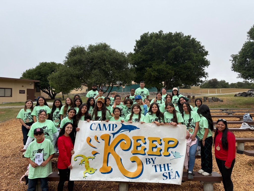 ButtonwillowUSD tweet media