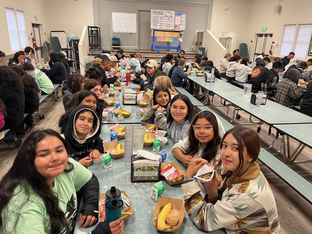 ButtonwillowUSD tweet media