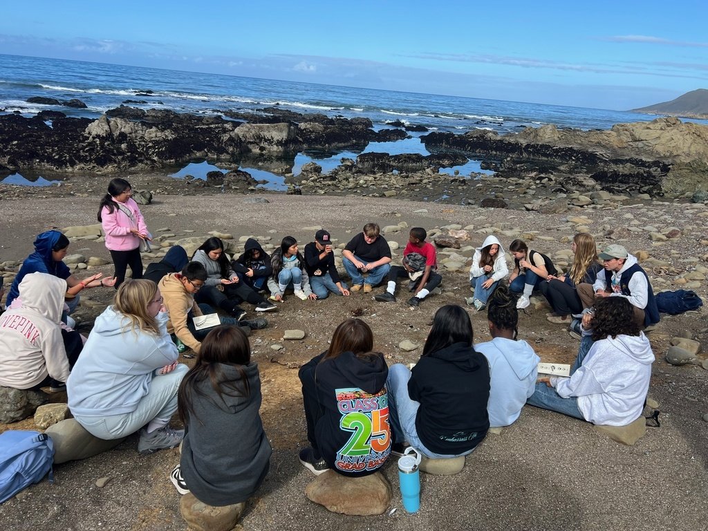 ButtonwillowUSD tweet media