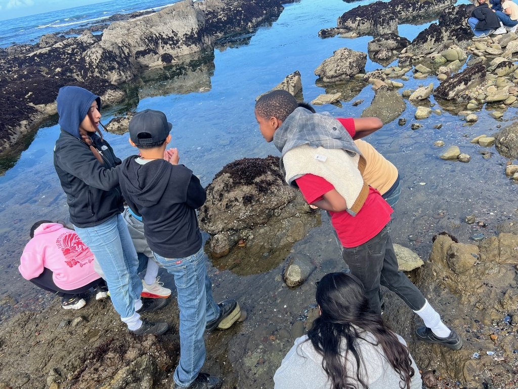 ButtonwillowUSD tweet media